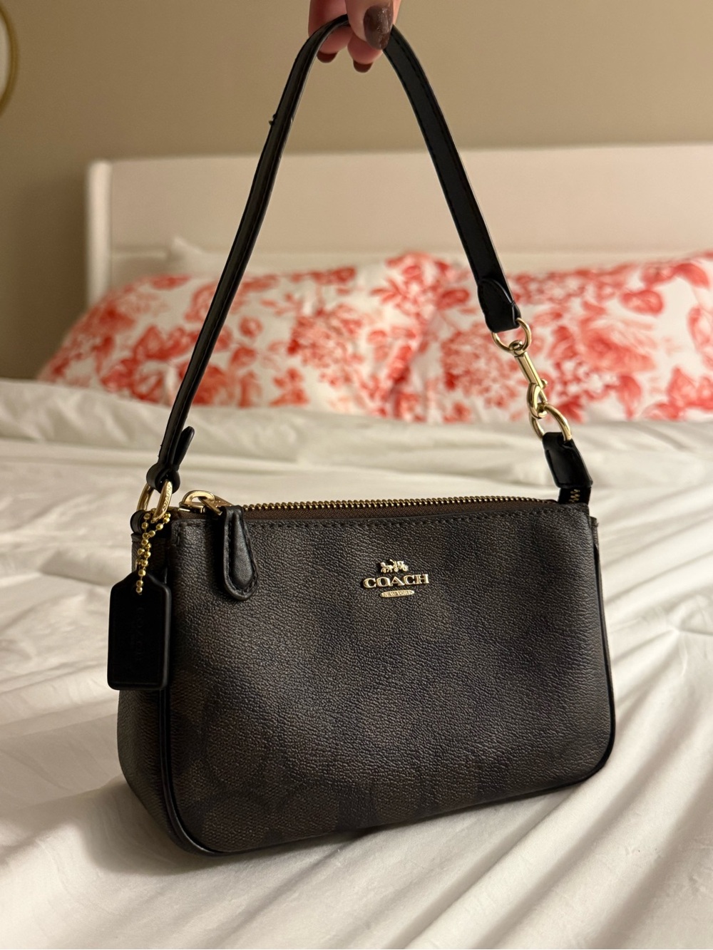Coach Nolita 19 Dark Brown in Signature Canvas with Gold Hardware